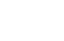   Directors & Officers Liability